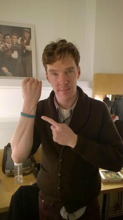 cumberbuddy:  londonphile:  [x]  Even the picture on the wall is like “WOAH STOP WITH YOUR ATTRACTIVE.” You can buy these bracelets here. They are a animal kindness charity and all profits go towards animal welfare organisations.