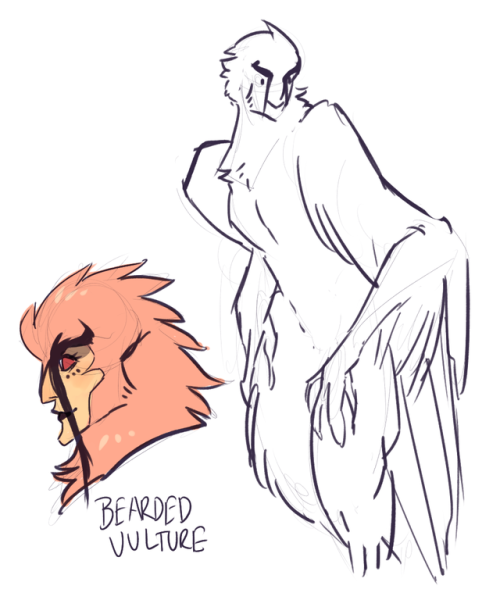 filibusterfrog:girlfriend catalogue :)(bird types voted for by my patrons, thanks so much guys!)POOT