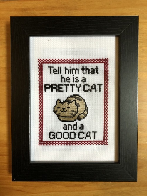goodcatbadcat: Quentin has been immortalized in cross-stitch. He is both a pretty cat, and a good ca