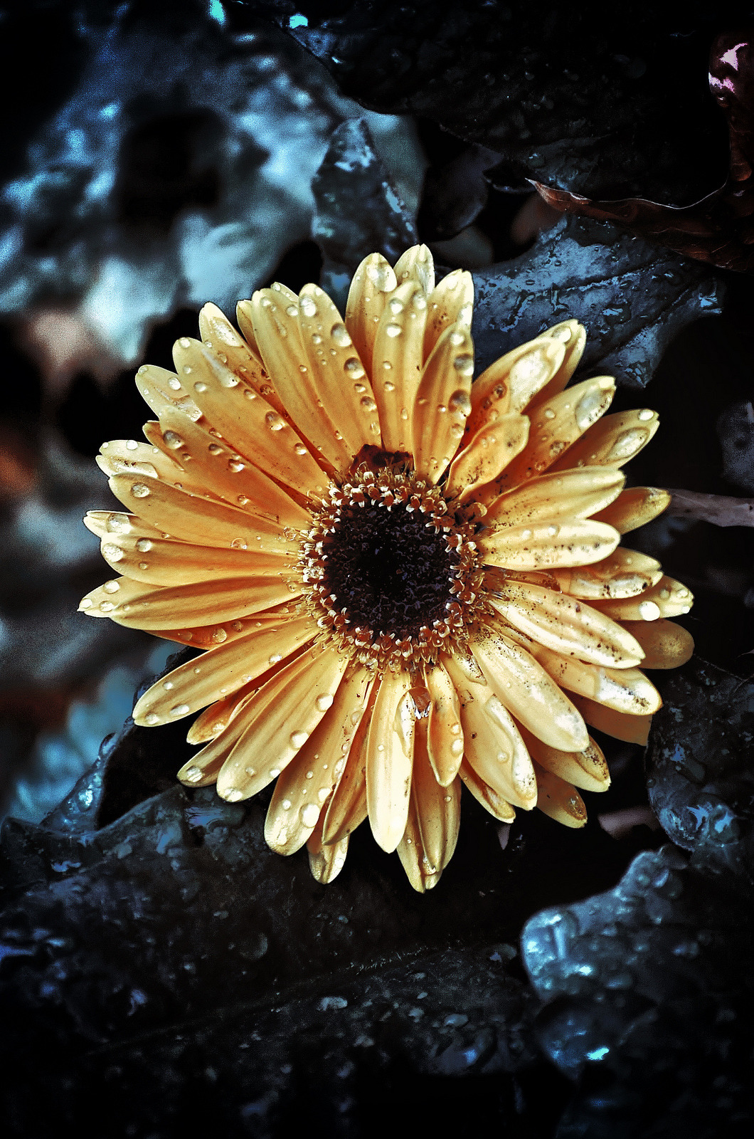 l-eth-e:  Dia #314 _ Day #314, ( by Juan Gaviria ) 