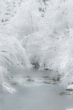 r2–d2:  Softness of Winter 