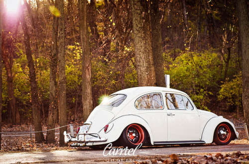 stancedubgirl:  Mike’s 1965 Beetle - Blog.Carrtel.com by Jacob.Brcic on Flickr.