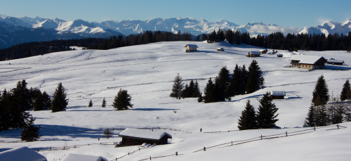 Rodenecker Alm