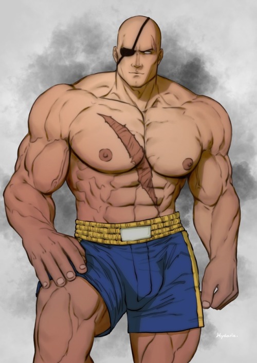 Sagat : Street Fighters.I will begin cleaning my tumblr blogs on this weekendand will only post SFW 