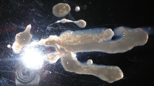 jockpig19:  massivelyzealousshooter:  howbig8:What a beautiful collection of cum The perfect collection   Makes me drool