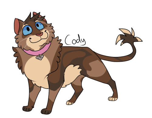 #cody#warrior cats#kittypet#warriors#tnp #every cat challenge tag  #love her. im sorry u were only in one book queen