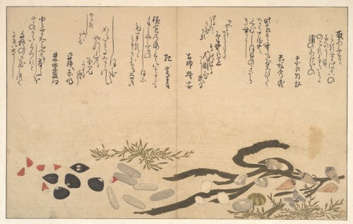 animus-inviolabilis: Shells Under Water Kitagawa Utamaro喜多川 歌麿 1790