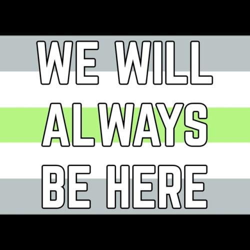 (Image description: the trans, nonbinary, genderqueer, androgyne, and agender flags with the words &