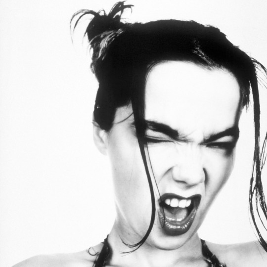 XXX Bjork  photo