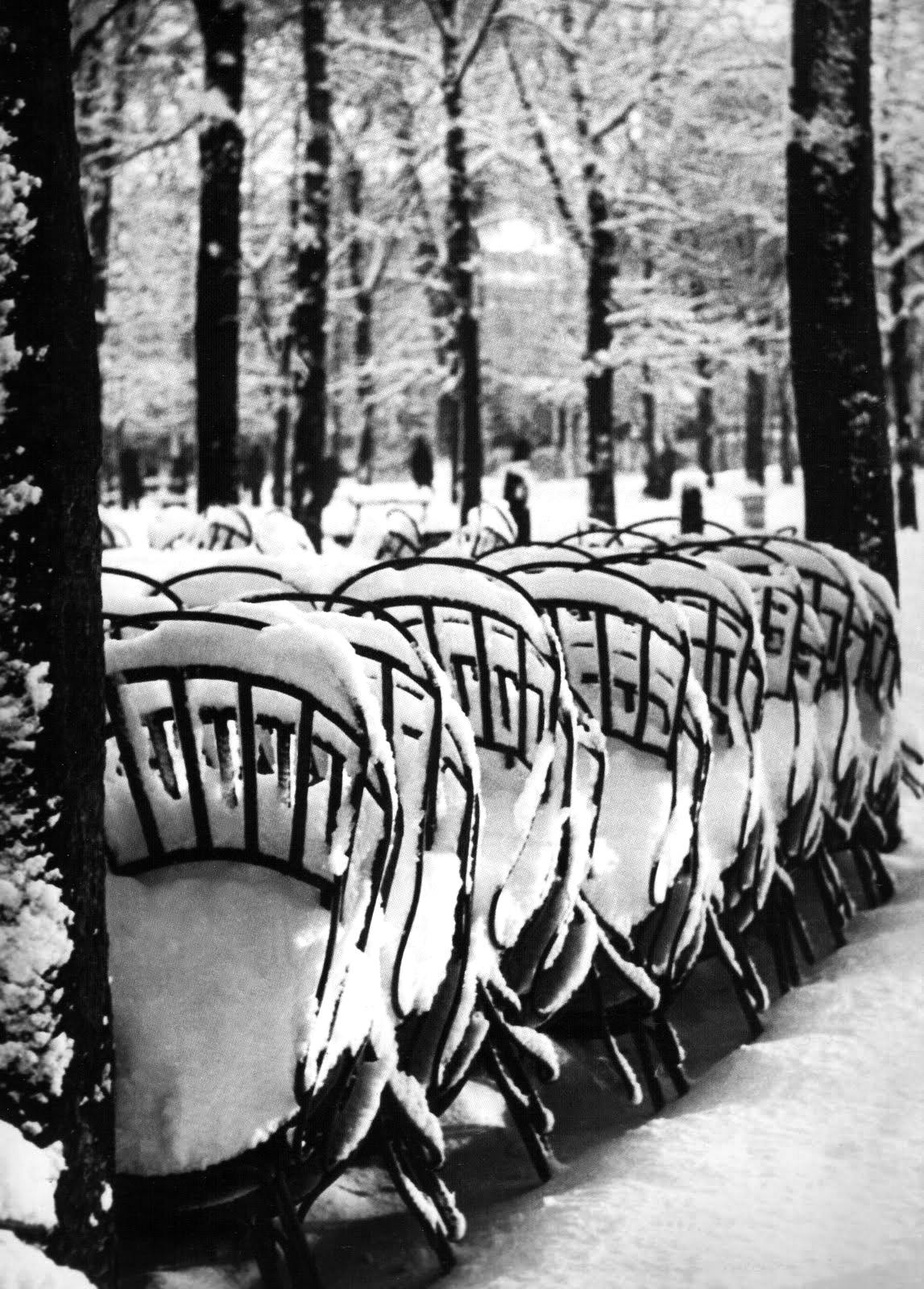 onlyoldphotography:  Brassaï: Chairs in the Luxembourgh Gardens in Winter, Paris,