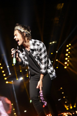 harrystylesdaily:  Lima, Peru - 27/4 