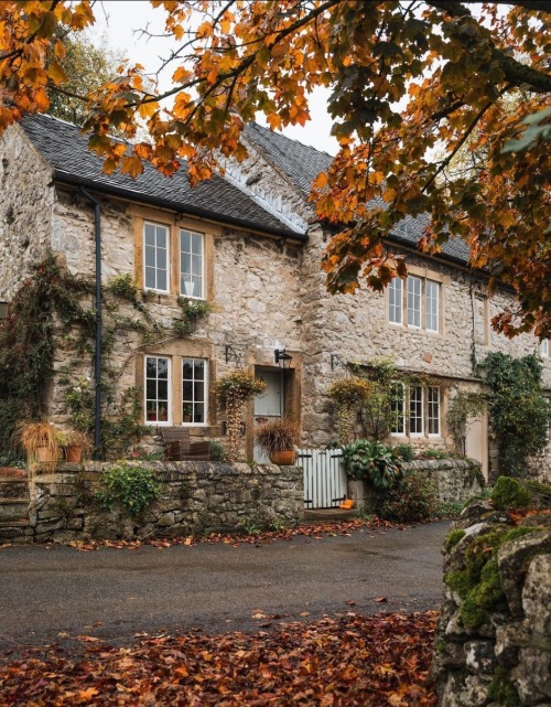  Welcome Home.
