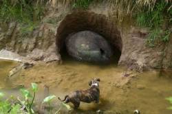 coolthingoftheday:    On December 25th of 2015, a farmer named Jose Antonio Nievas found what he thought was no more than an unusual rock near a stream on his farm in a town located about twenty miles from Buenos Aires, Argentina.   He found the object