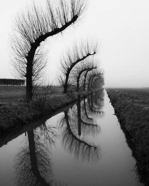 henk-heijmans:Bending, 2015 - by Jan Spreeuw,