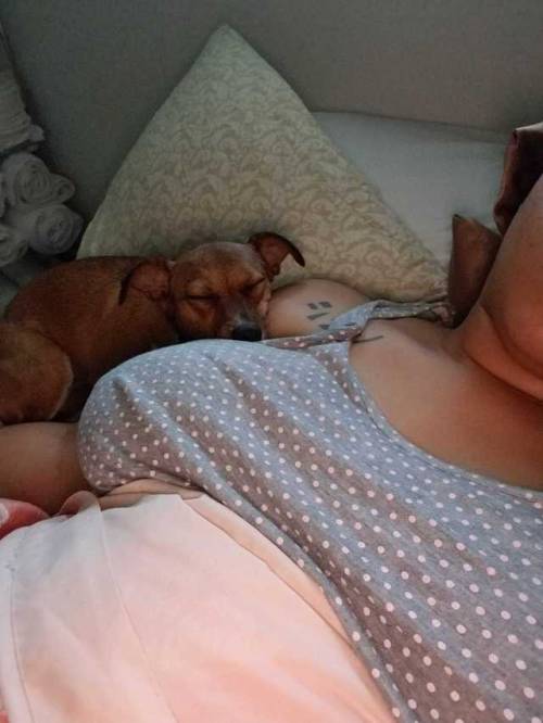tattooedheartbreaker:  Current situation.
