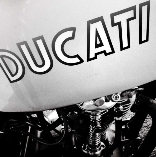 wildbutgentleman:  habermannandsons:  Ducati    Wild but Gentleman