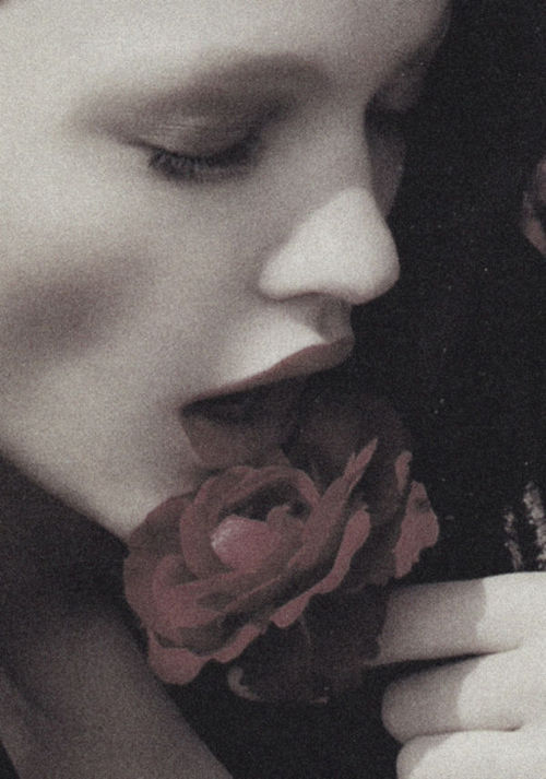 Soul of the Rose