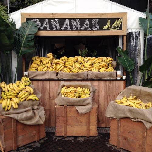 tropical-vegan: lucetteromy: Luckily someone has the right idea at the fun run this morning… BANANAS