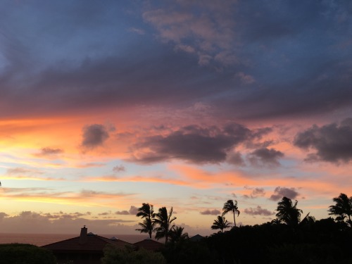 sunnybeam: Quality Hawaii sunset no. 2 // 6.26.16