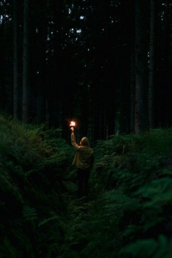 in-one-moment-all-will-desappear:  &lsquo;forest&rsquo; en We Heart It - http://weheartit.com/entry/158717941