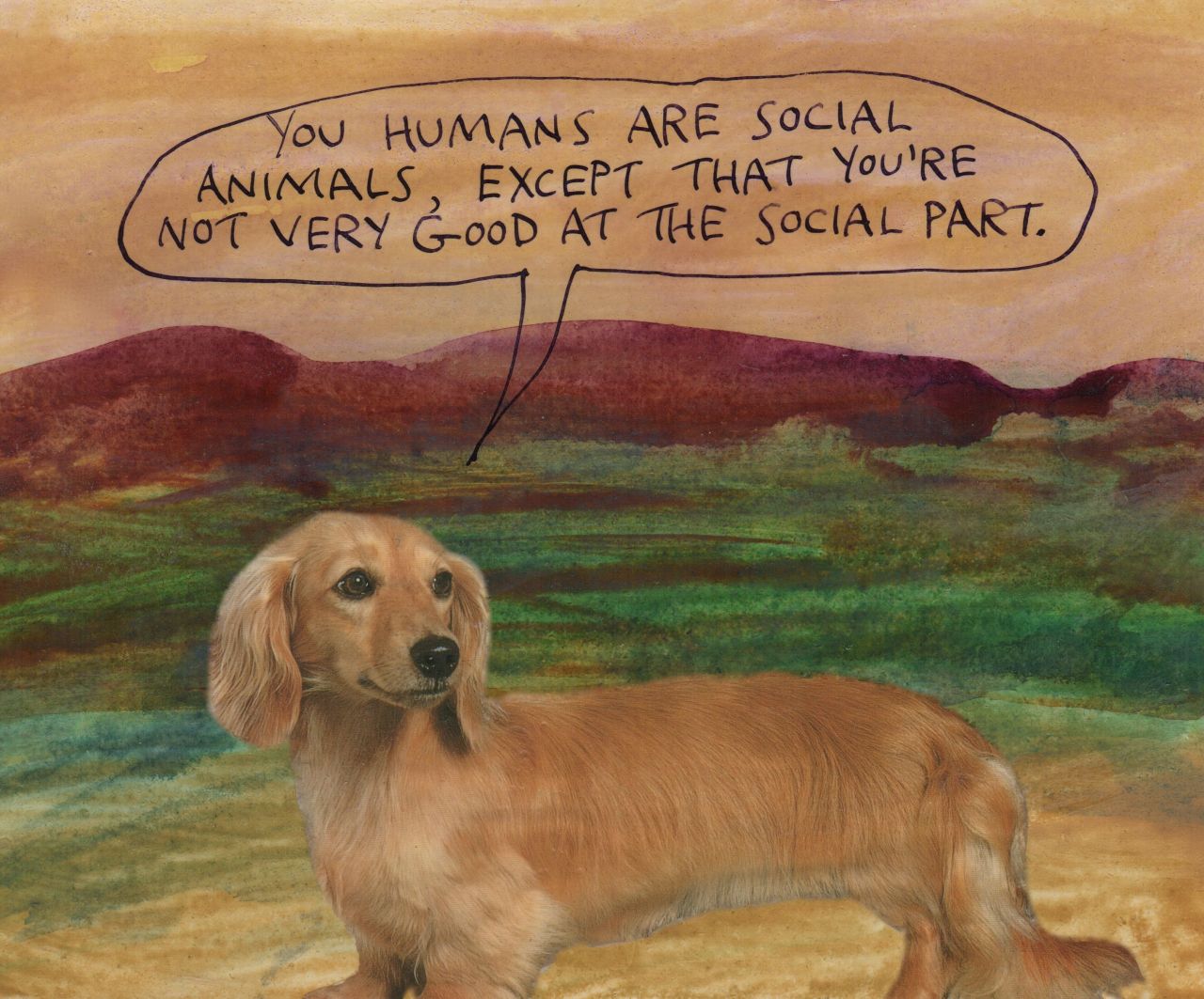 You humans are social animals, except that you’re not very good at the social part. (word, from the dog) -- Michael Lipsey