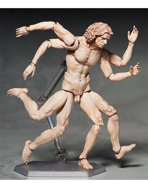 Homo vitruvianus