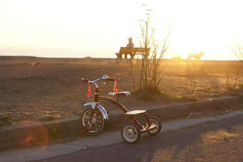 onlyincal:  sunset trike