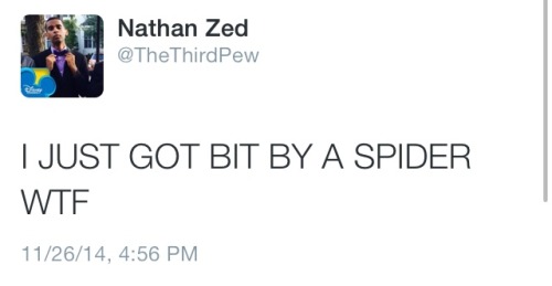 harryscurlsreallylouis:  #NotAllSpiders
