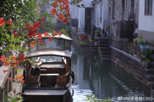 fuckyeahchinesegarden:blossoms of chinese trumpet creeper by 暗香盈袖1965