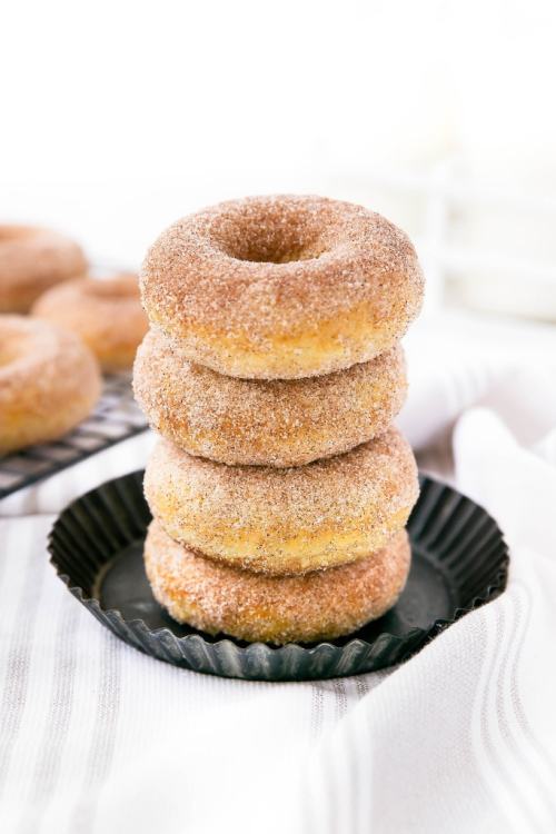 Baked Cinnamon Sugar Donuts | Broma Bakery 