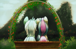 tiarawhynot:  blindcoyote-mod:  Together at Last  We all have a special someone in our lives. It happens at all levels, from family to your best friend. Some more platonic and others more romantic. We go through our lives searching for a partner, why