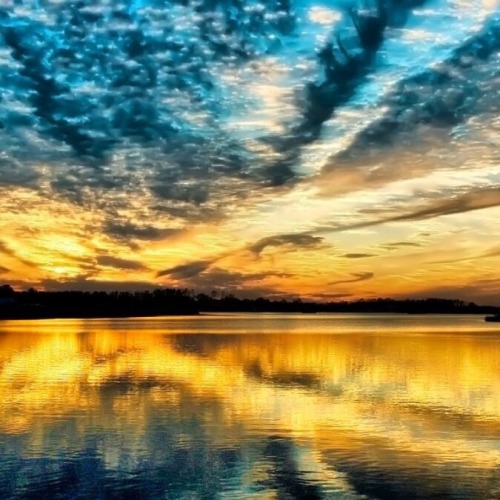 @johnnysactualgf :)