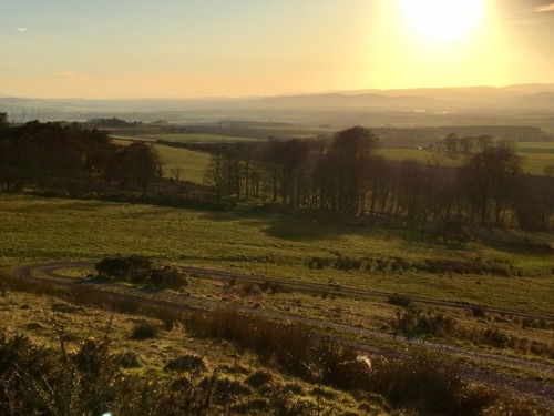 golden afternoon lightAberdeenshire, Scotland, March &lsquo;17