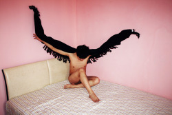 opticalgallery:   	http://renhang.org/ by