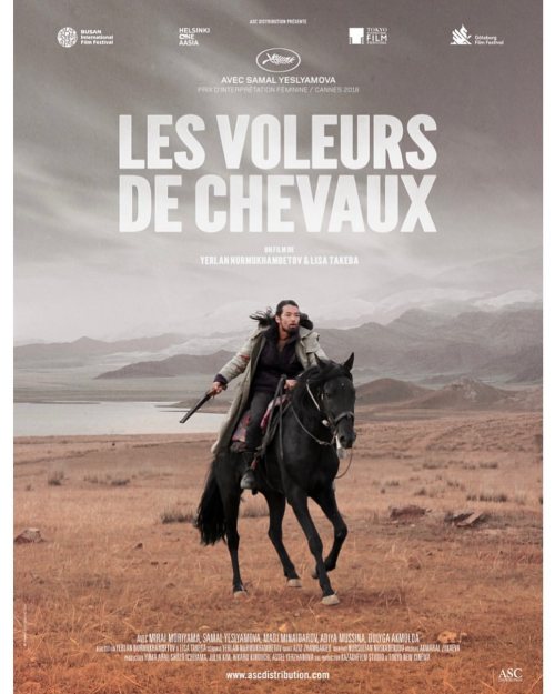 Je viens d’aller voir Les voleurs de chevaux. #film #drame de Lisa Takeba et Yerlan Nurmukhambetov #