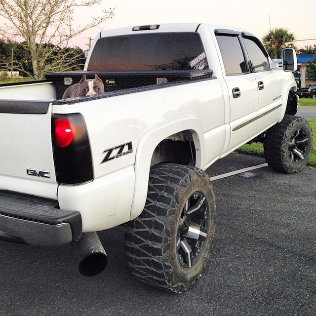 RedneckRomeoStoleMyHeart