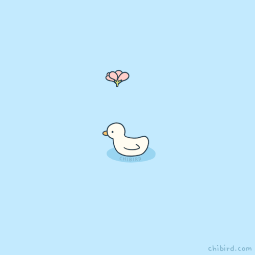 chibird — Flower-hat duck believes good things are coming