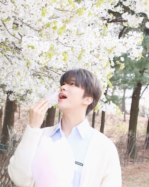 itsbap:dh_jung_bap: 벚꽃같은남자 향기로운남자 생일축하한다  #유영재 #BAP The guy who’s like cherry blossom. The aromatic 