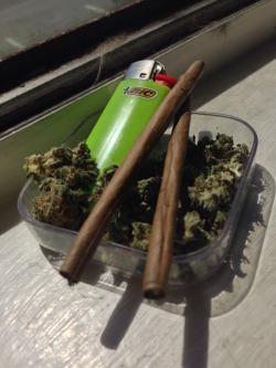 sativa-head:Aye dab-magi, just rolled these beauts.