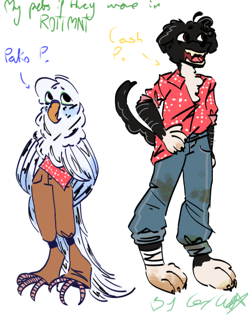 This Idea Has Been In My Head For A Bit So Have My Pets If They Were Rise Of The Teenage Mutant Ninja