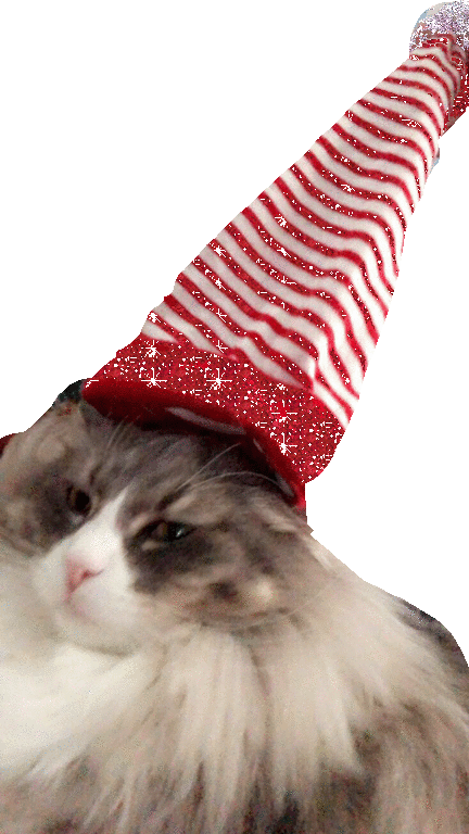 You Have Been Visited By The Good Luck Floof Make One Wish!!!