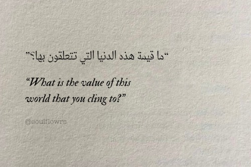 jinbubaigawaras-vesse - fay 🩹