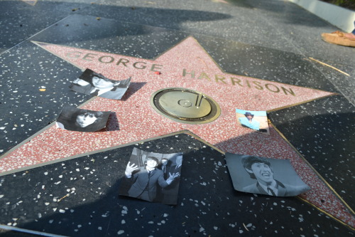 too-stoned-to-remember:  tehbeatles:decorated each beatle’s walk of fame star with some of my favorite photos from them today  …o,OMG is that my “i look gorgeous in hi def” gif omg
