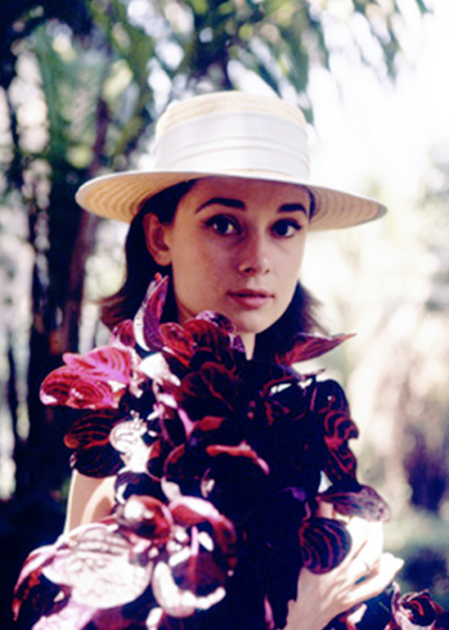 rareaudreyhepburn:  Audrey Hepburn May 4, 1929 - Jan 20, 1993  “To plant a garden is to believe in tomorrow.” - Audrey Hepburn 