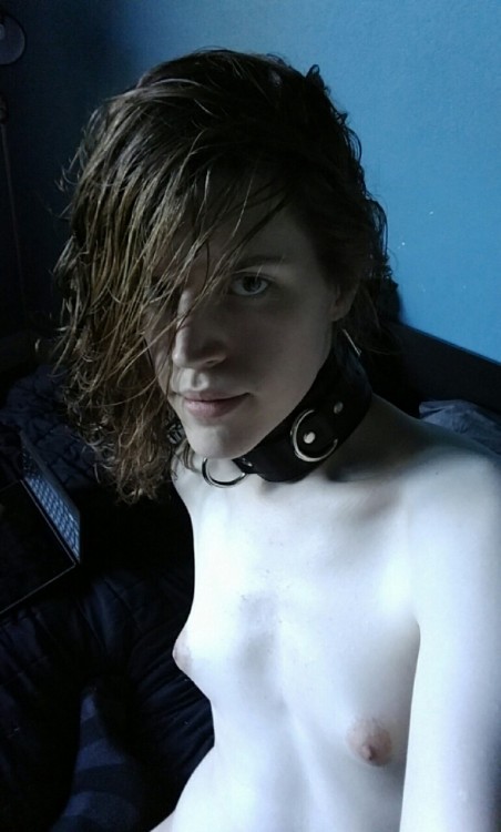 dysgalty:  Socks and collar ~