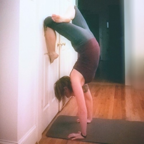 mygardenlife:Day 16 #handstandlove @fitqueenirenehalf lotus handstand, with some support ;)