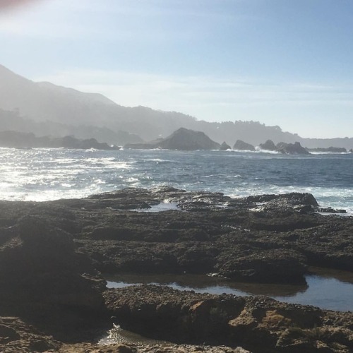 The upside to a windy day at Point Lobos is that all the fog burns off early.Blue skies and sunshine