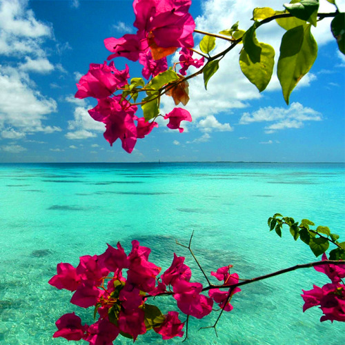 sandy-days-and-sun-rays