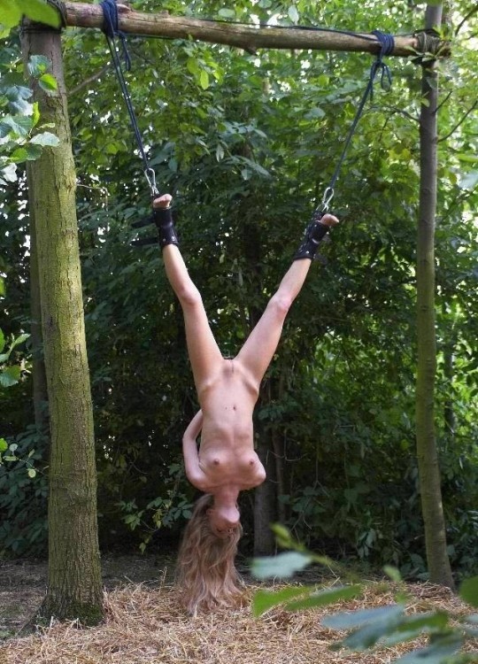 Tied to Trees
