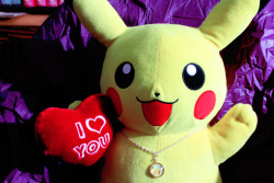 shelgon: Will You Be My Valentine?